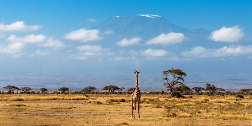 Amboseli-Wildlife-Safari