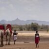 Samburu