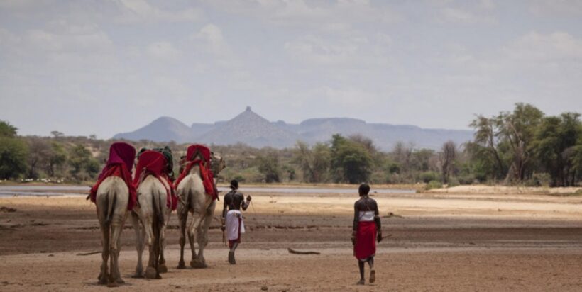Samburu