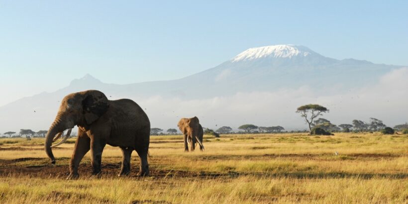 Amboseli-national-park