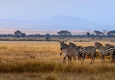 3 days Amboseli National Park