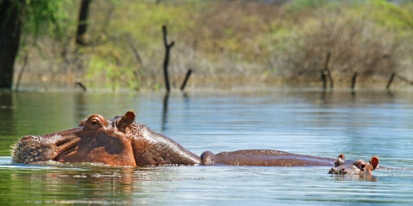 Lake-Baringo