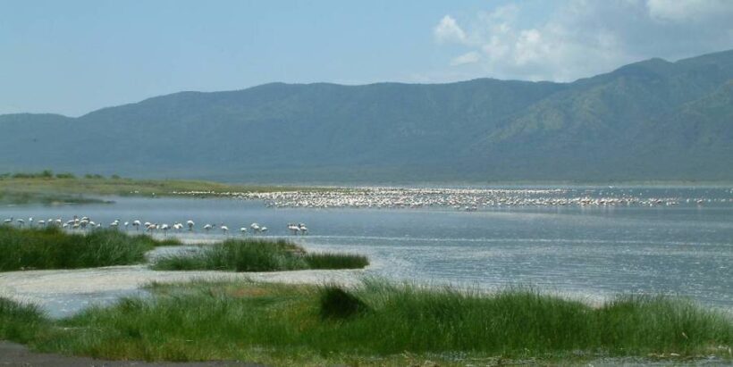Lake-Baringo2
