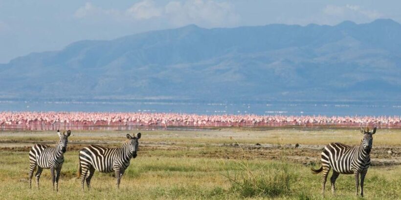 Lake-Manyara2
