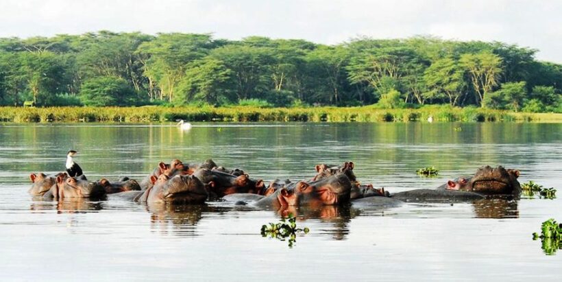 Lake-Naivasha