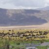Ngorongoro Ngorongoro