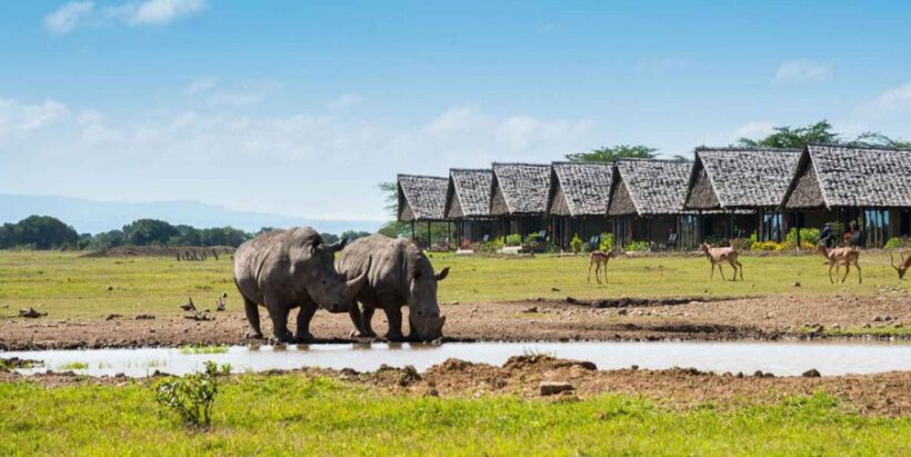 Olpajeta Conservancy