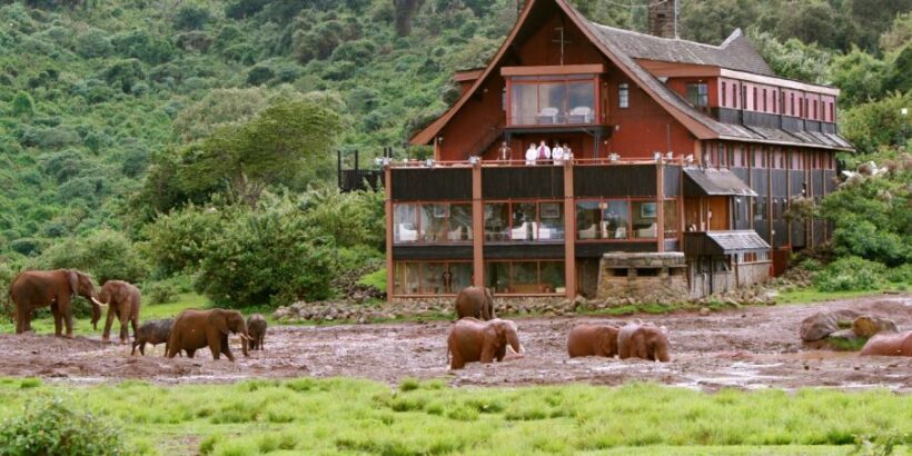 The Ark-aberdares The Ark-aberdares