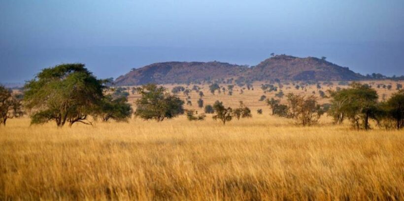 Tsavo-West-Safari Tsavo-West-Safari
