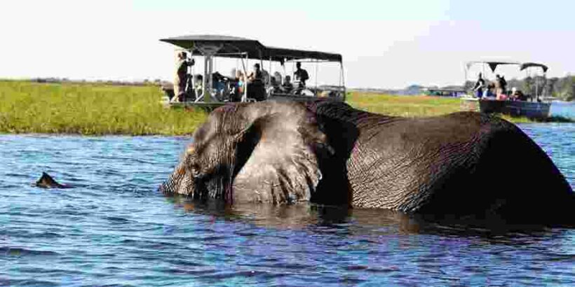 CHOBE NATIONAL PARK