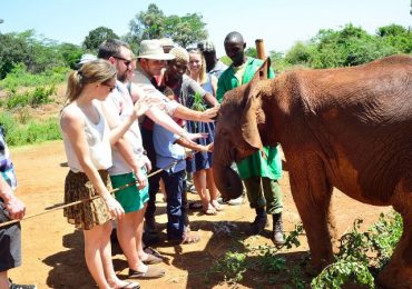 Elephant Orphanage3
