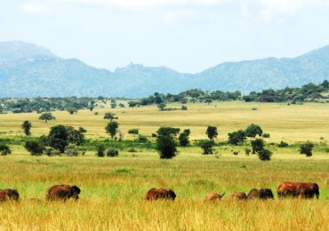 Kidepo Valley National Park Uganda