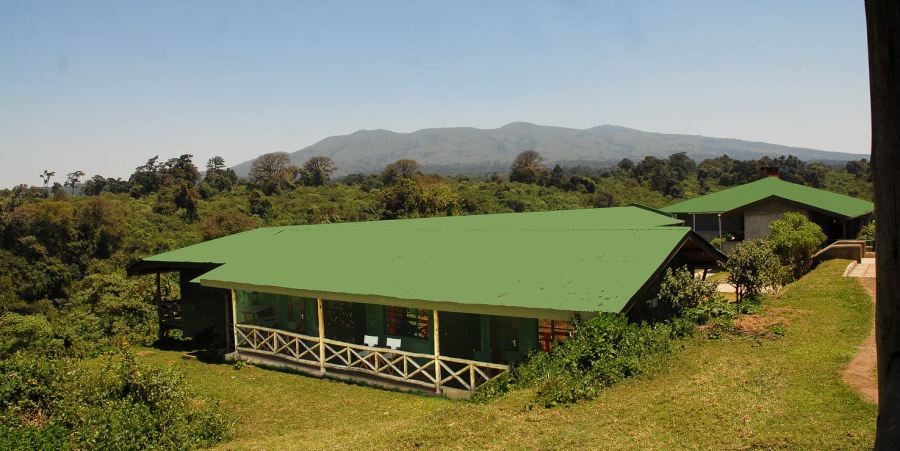 Ngorongoro Rhino Lodge - Amazing Memories Safaris