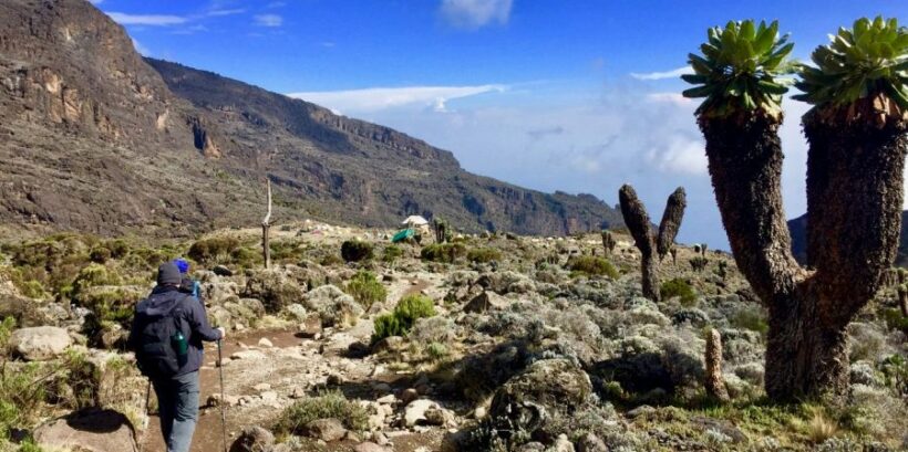 kilimanjaro-machame