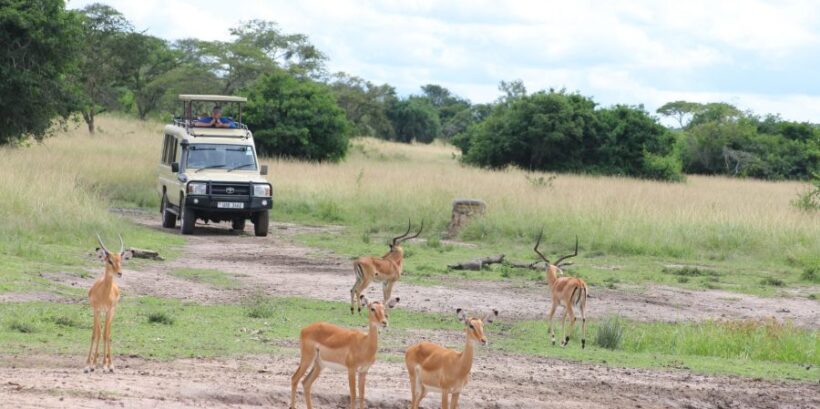 lake-Mburo