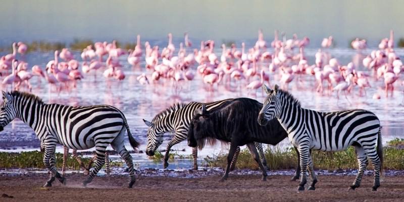 Lake Nakuru Park