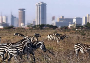 nairobi-national-park