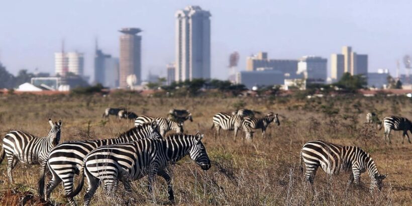 nairobi-national-park