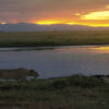 Amboseli-National-Park-Kenya-Lioness-Africa-Stealth-Mode-Ray-In-Manila