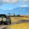 Amboseli-game-drive