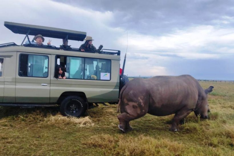 amazing-memories-safaris (16)