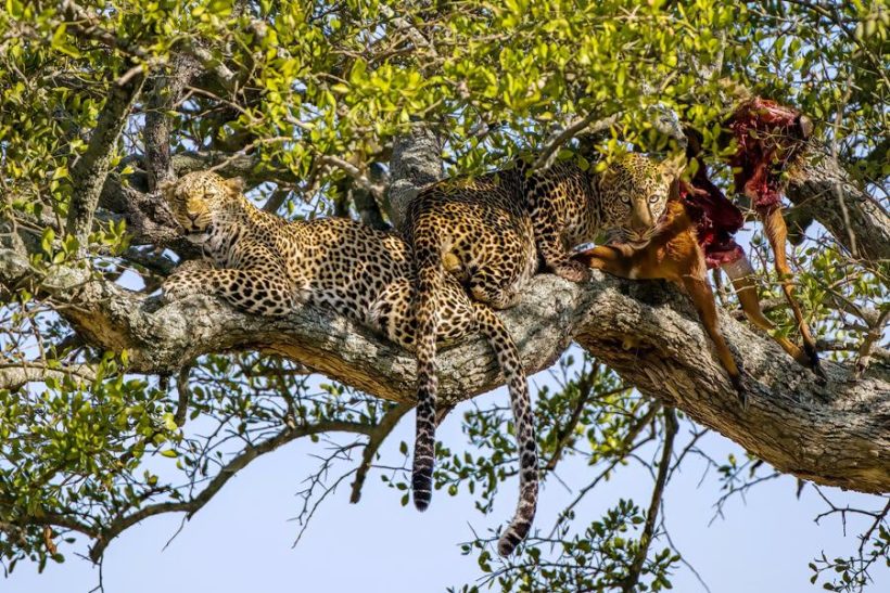 Amazing-Memories-Safaris (21)